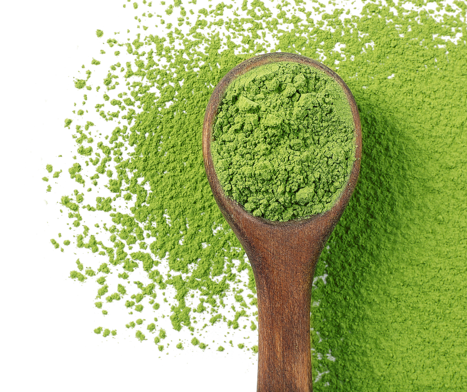 What Matcha Does Starbucks Use? A Closer Look