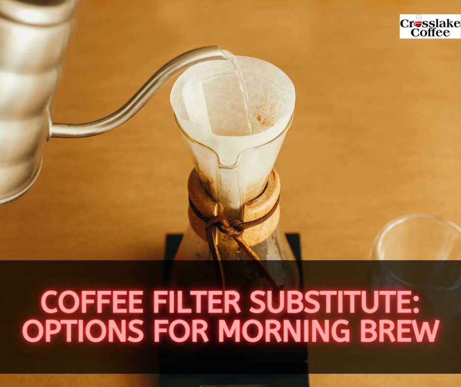 Coffee Filter Substitute