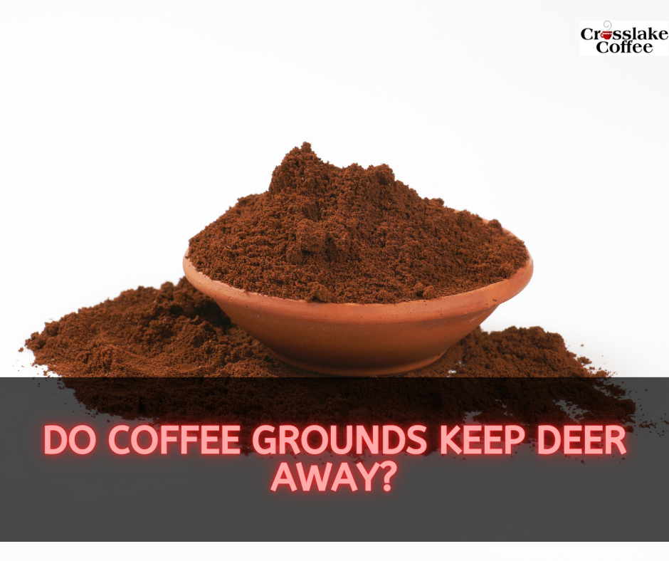 Do Coffee Grounds Keep Deer Away?