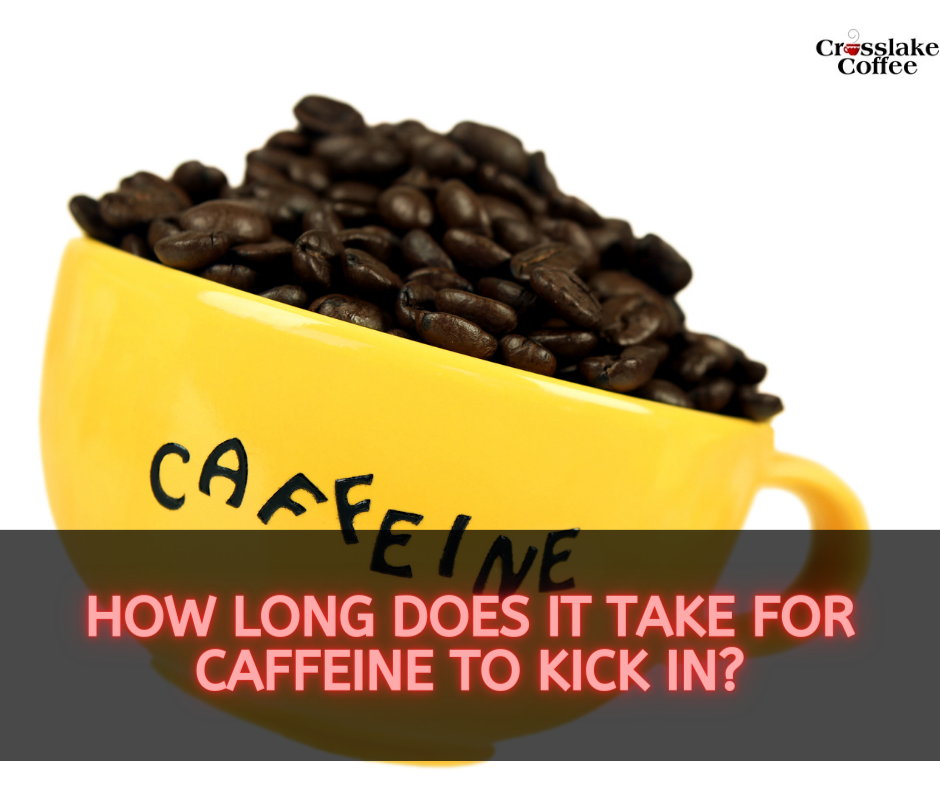 how-long-does-it-take-for-caffeine-to-kick-in-caffeine-chronicles