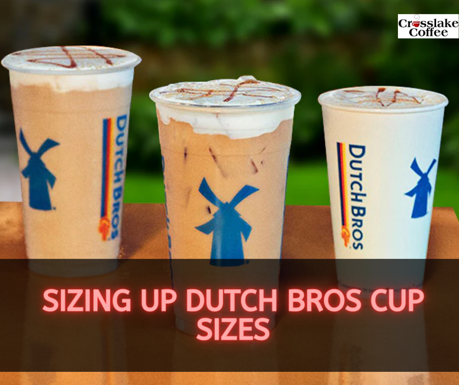Dutch Bros Cup Sizes