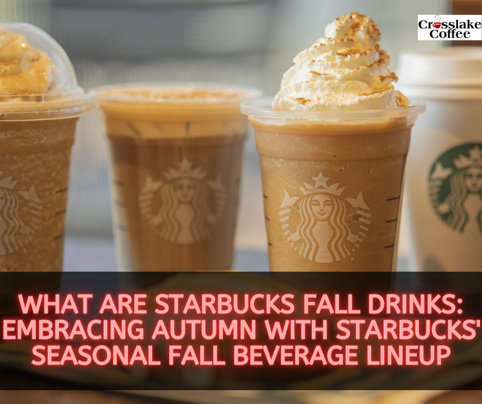 What Are Starbucks Fall Drinks Embracing Autumn with Starbucks