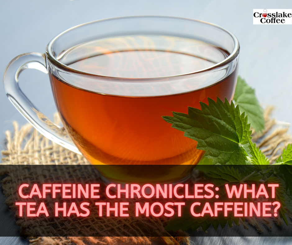 What Tea Has The Most Caffeine?